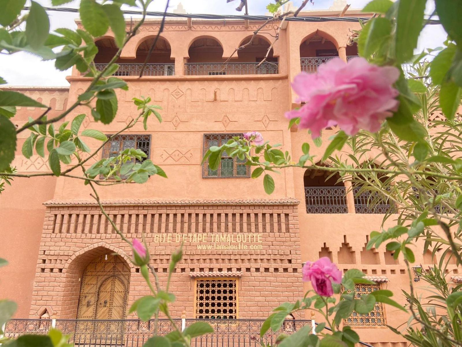 Gite D'Etape Tamaloute Bed & Breakfast Bou Tharar Bagian luar foto